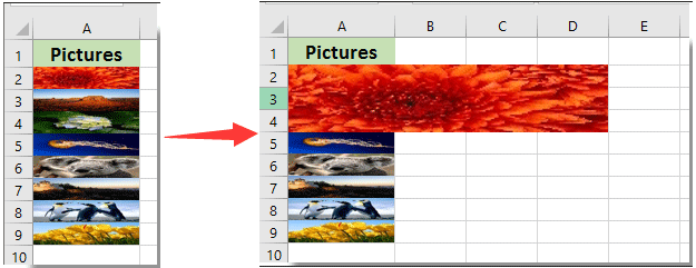 How To Put A Small Thumbnail Image Into Excel Click For Full Size Mac Os X